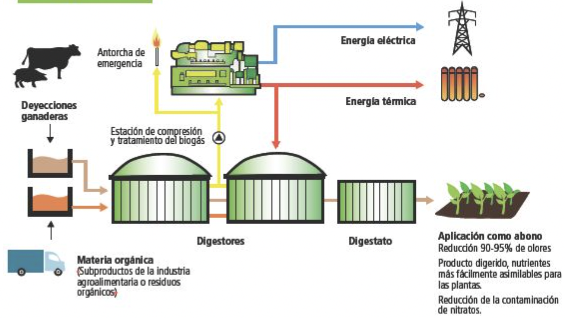 Diagrama general con materia orgánica, digestores, biogás, energía y digestato